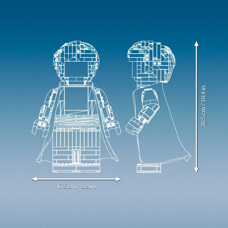 LEGO Harry Potter 76393 Harry Potter a Hermiona Grangerová - Obrázek 4