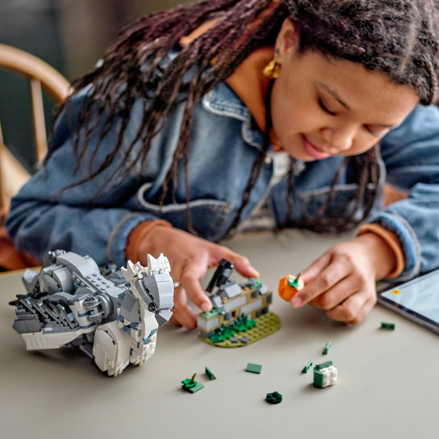 LEGO® Harry Potter™ 76427 Klofan - Obrázek 4