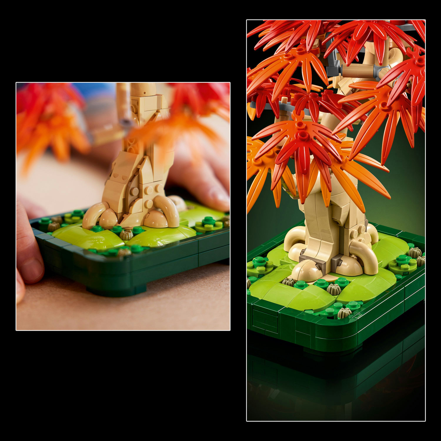 LEGO® Botanicals 10348 Bonsaj – Japonský červený javor - Obrázek 6