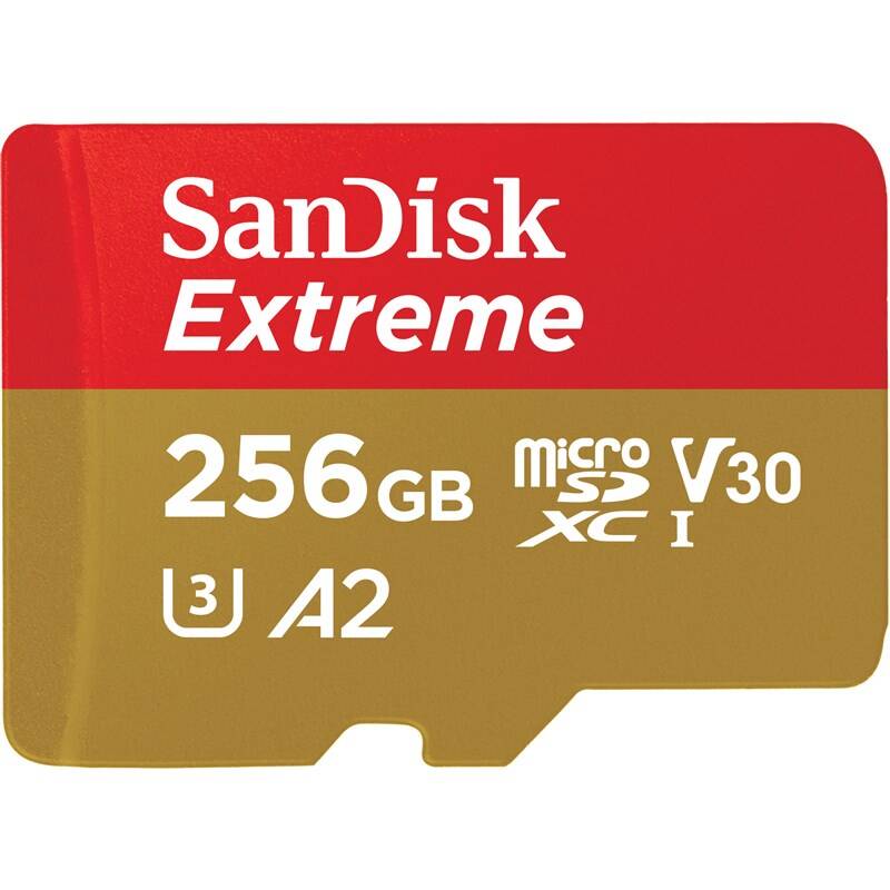 SanDisk microSDXC UHS-I U3 256 GB SDSQXAV-256G-GN6MA