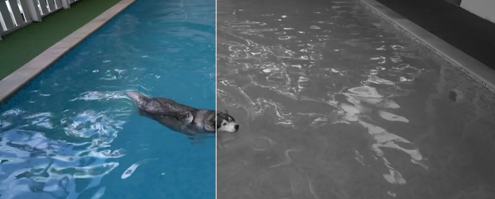 IP kamera TP-Link Tapo C410 KIT