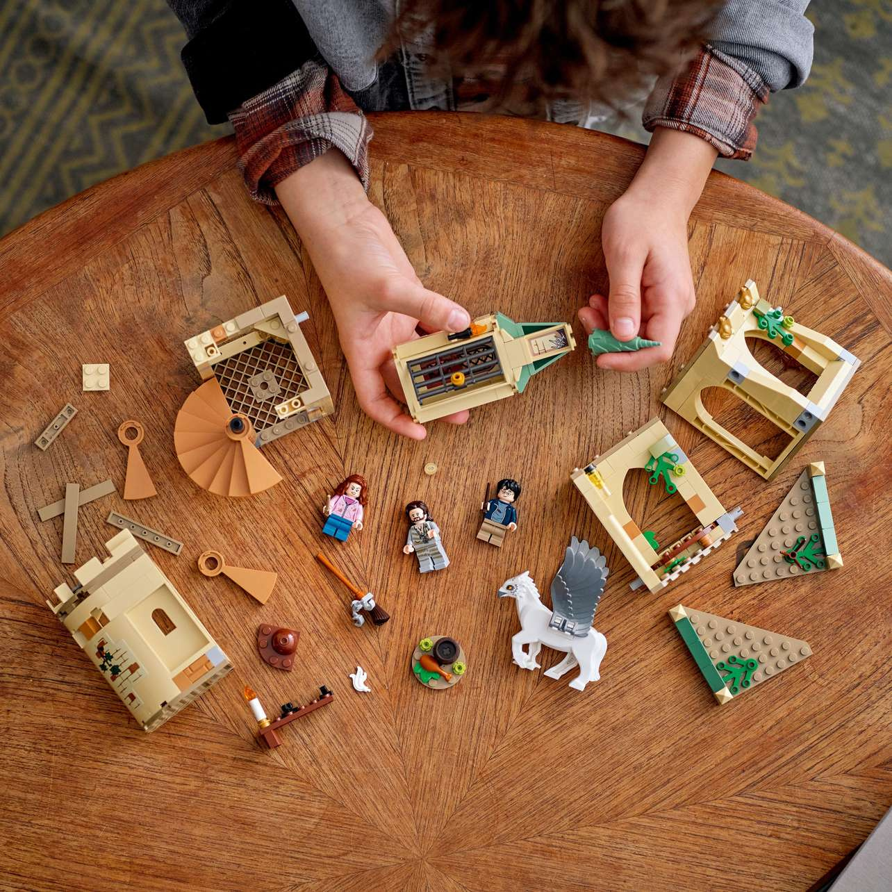 LEGO® Harry Potter™ 76401 Bradavické nádvoří: Siriusova záchrana - Obrázek 8