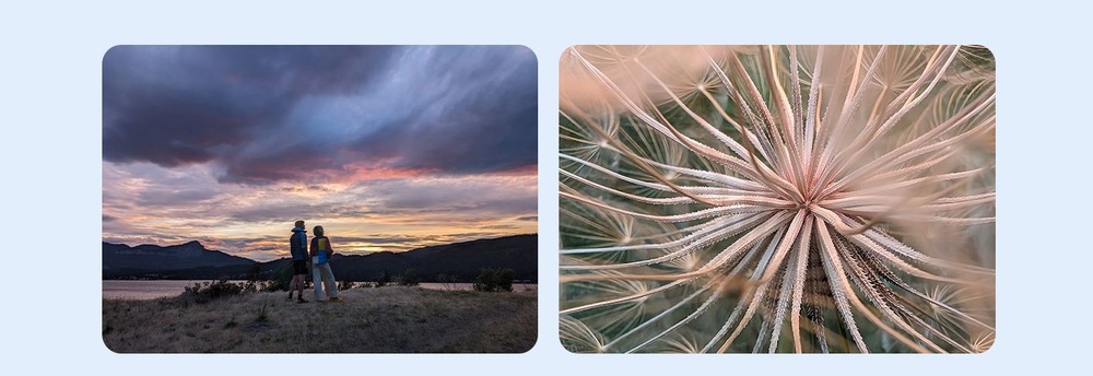 Google Pixel 8 Pro 12 GB / 256 GB Porcelain