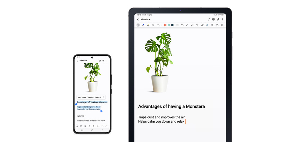 Samsung Galaxy Tab S6 Lite 2024